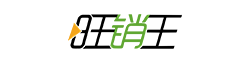 旺销王ERP
